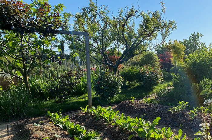 lautagne09